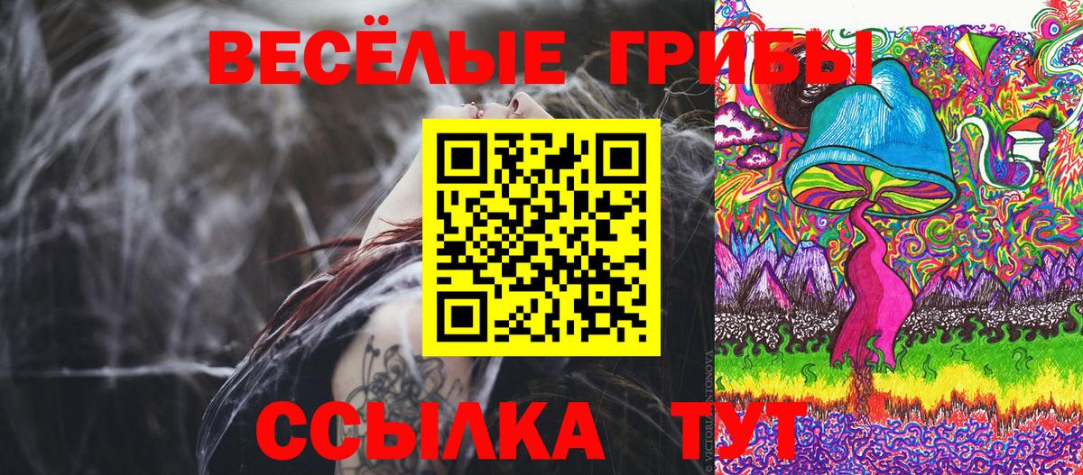 Галлюциногенные грибы прущие грибы  Вход с VPN  магазин  наркотиков  Кувандык 